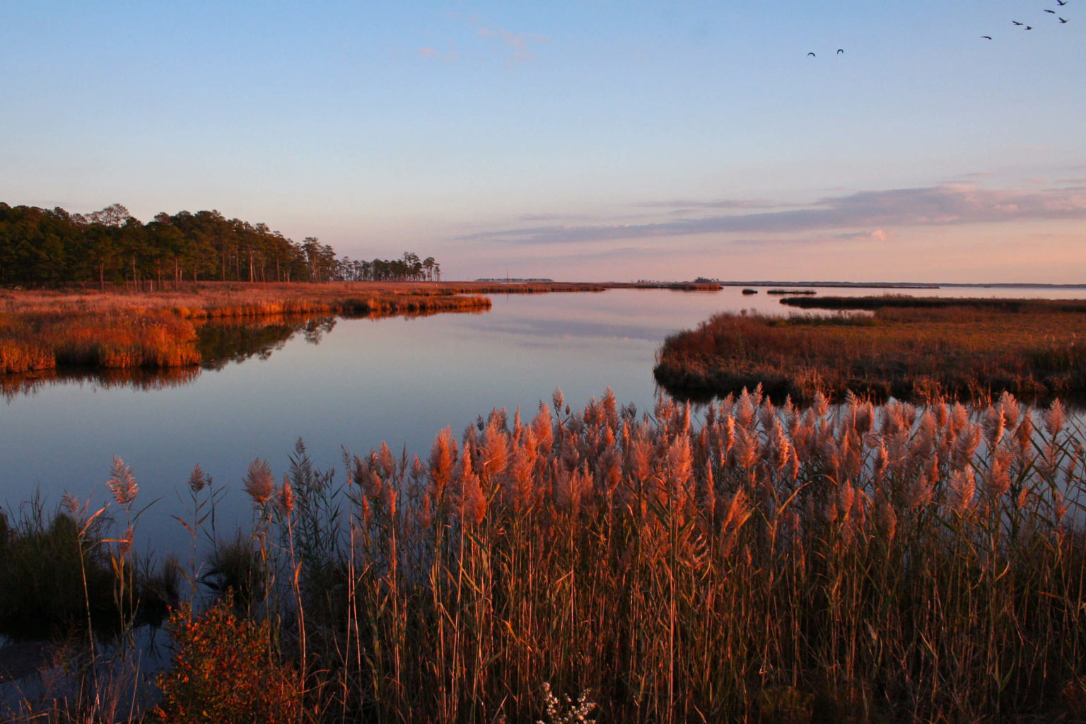 Harriet Tubman park rangers pick their driving tour favorites Harriet